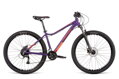 DEMA bicykel TIGRA 7 dark violet-red