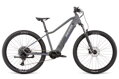 DEMA bicykel GAMA 29' dark gray-violet