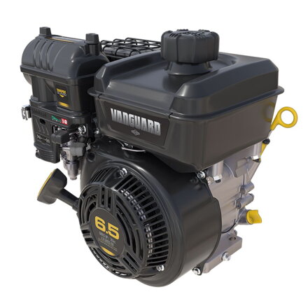 Motor Vanguard 200 - 6,5 HP